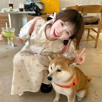 挎斗摩托车里的狗
